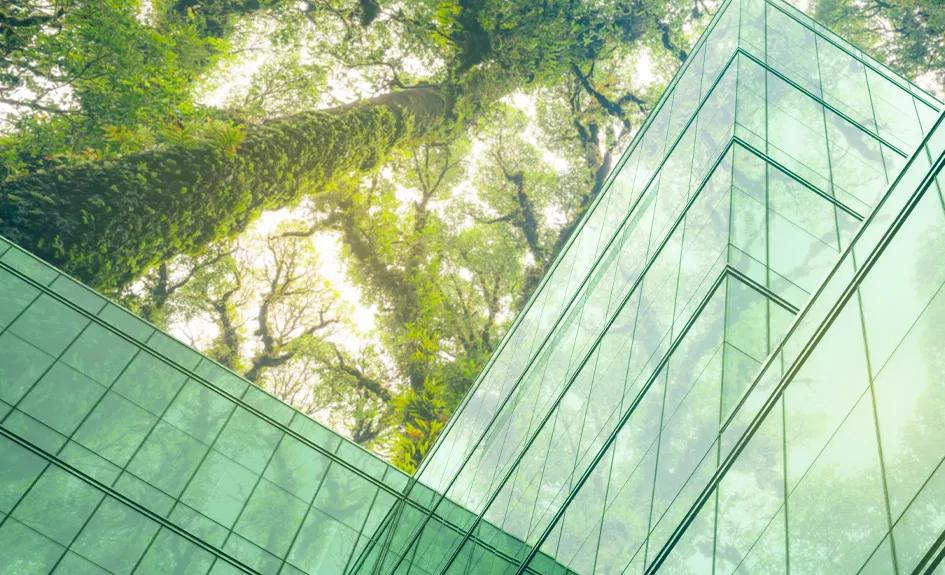 Trees tower over a building of green glass