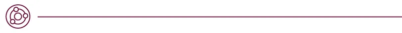 Icon showing maroon outline of a target