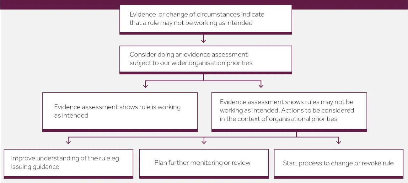 Figure 2: Overview of rule review process for all rules